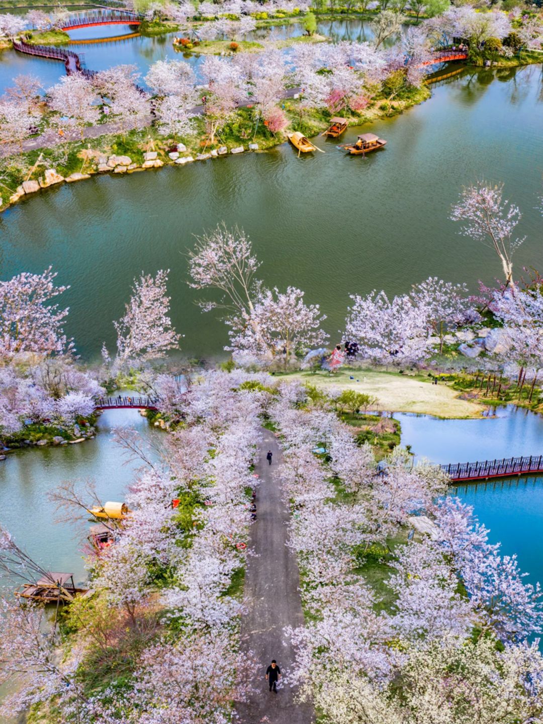 避开人潮❗️武汉周边赏樱宝藏地，人少景美🌸