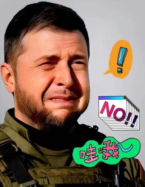 [太阳]果不其然！乌克兰总统泽连斯基宣布了！
​2026年1月7日，乌克兰总统泽