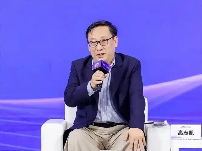 高志凯关于菲律宾小马科斯的这个爆料，确实太劲爆了！他指出，马科斯家族的大量资产被