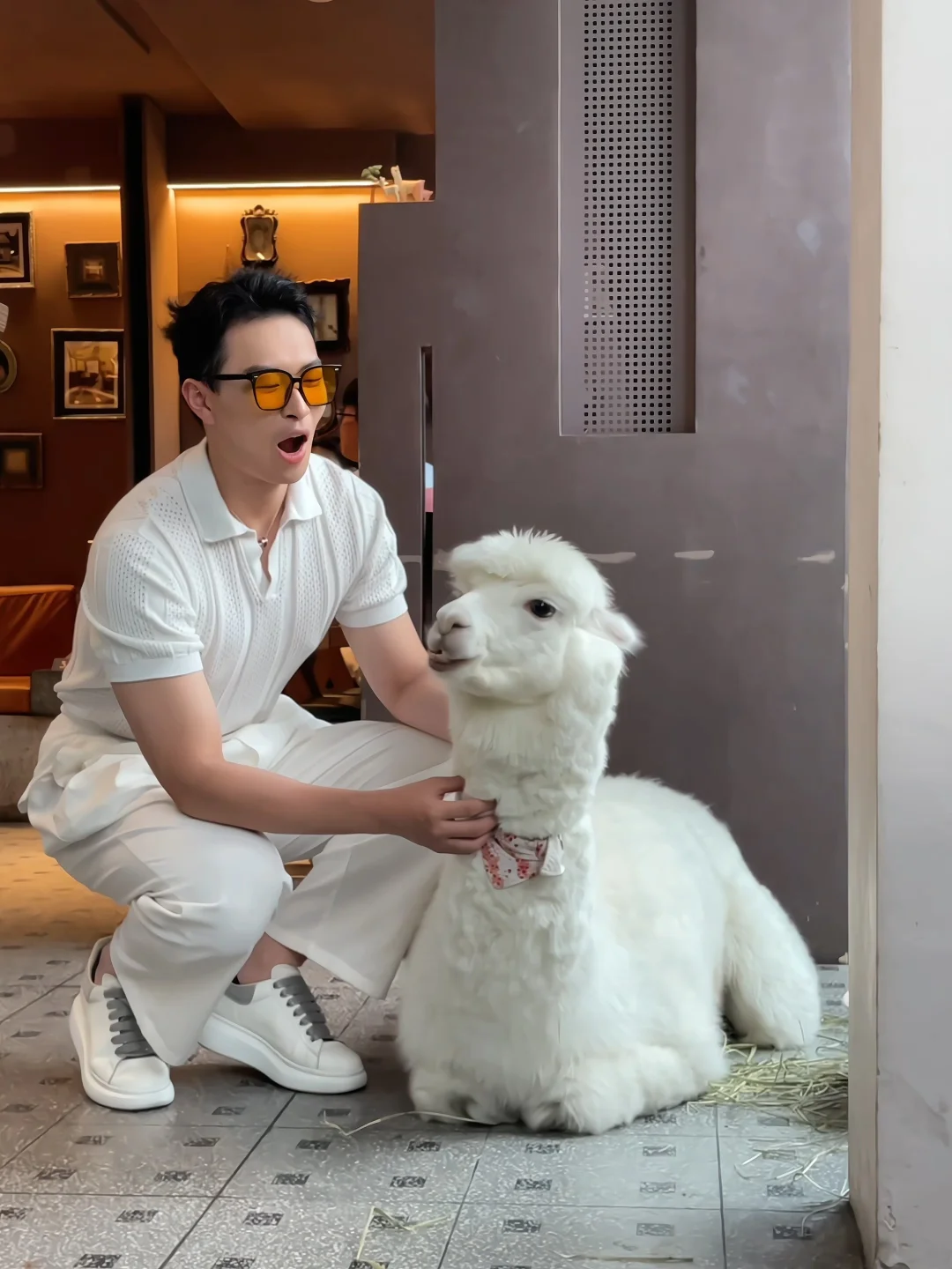 🦙神兽笑了❗我的好运要来了💰