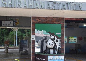 耗费三十年打造“熊猫名片”，如今却选择“主动切割”，日本小镇转型为何进退两难？