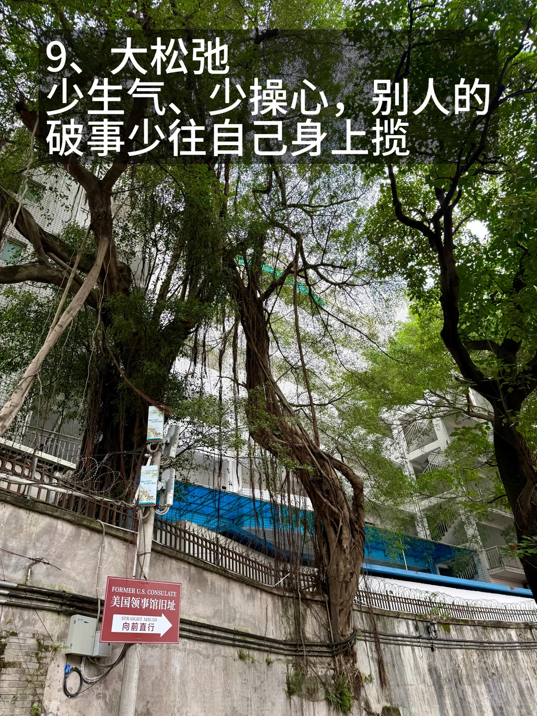 全民进入大抗炎时代 