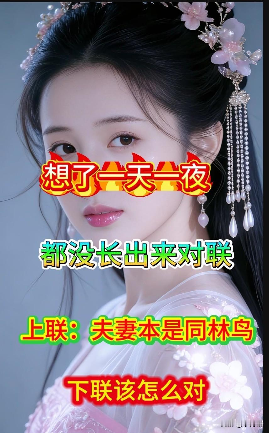 想了一天一夜

都没想出这个破对联 

上联是：夫妻本是同林鸟

除了一个：大难
