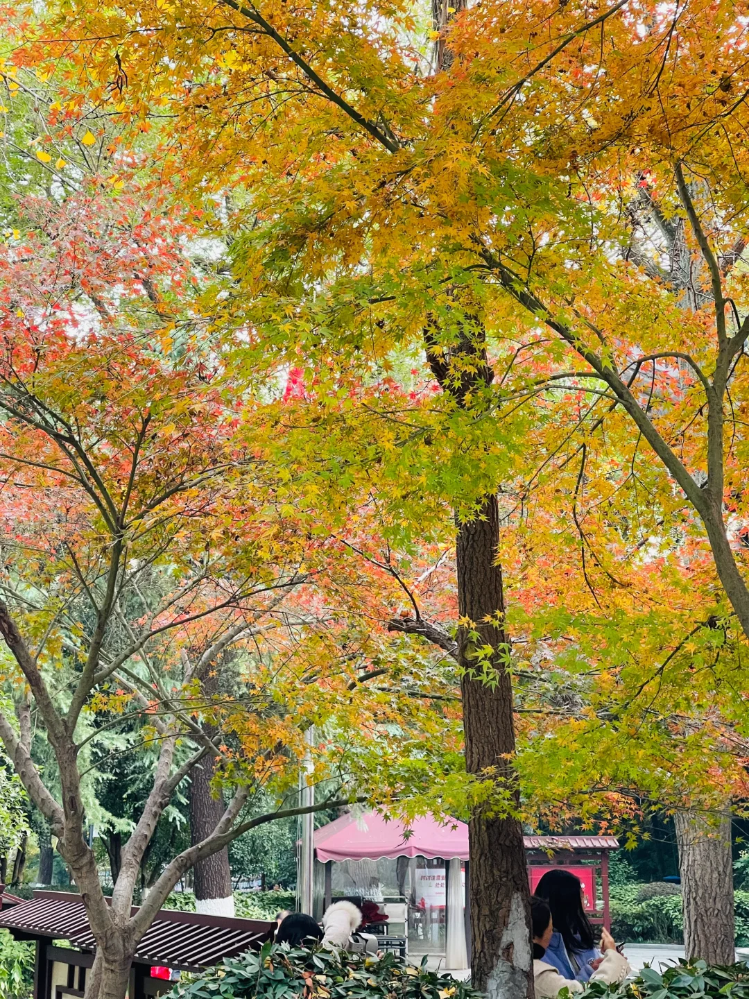 栖霞山太远，来清凉山吧