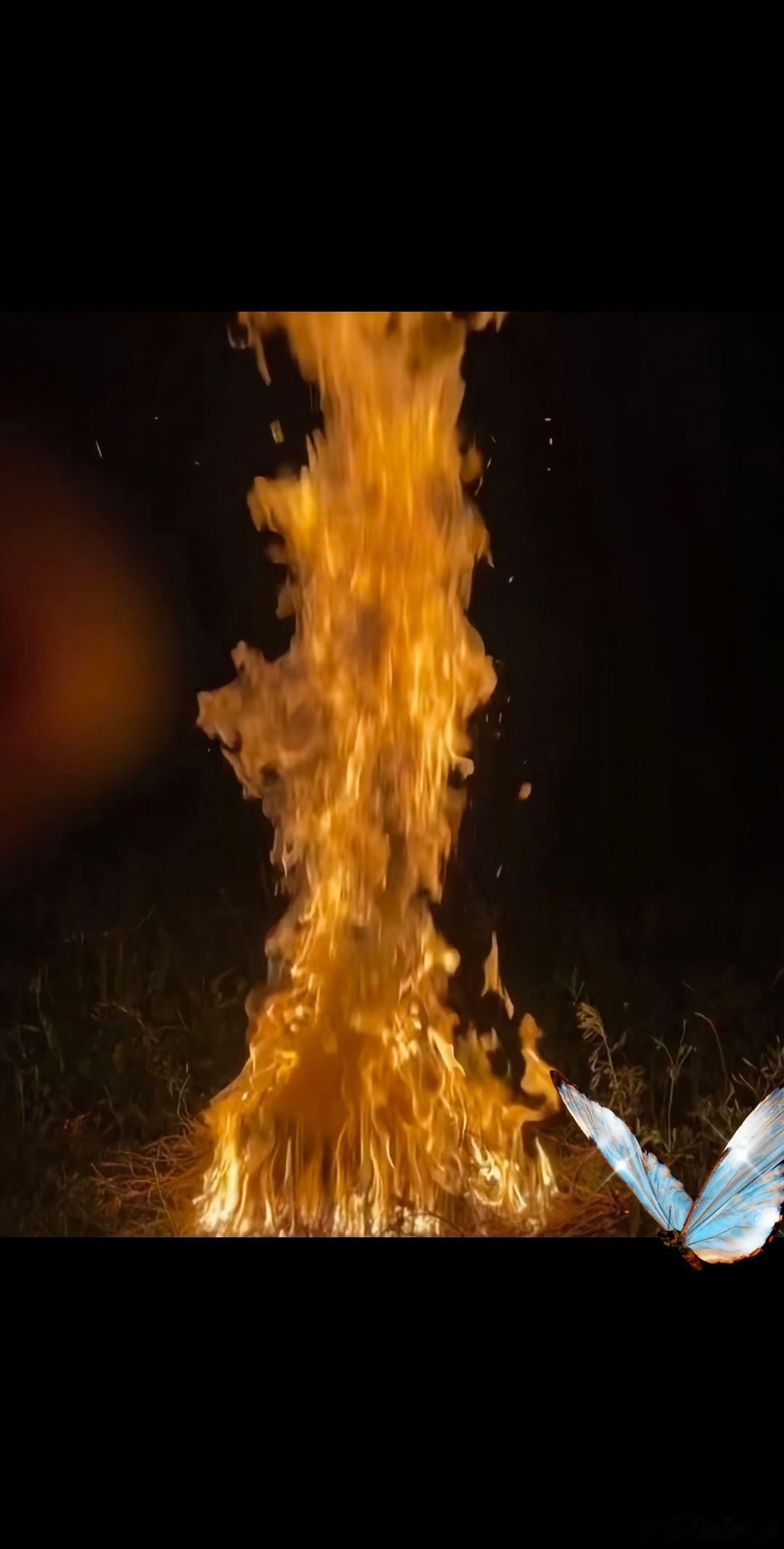 随手拍答案从来不重要，就算曾经沧海难为水，也会两看生厌，人是这个世界上最复杂最多