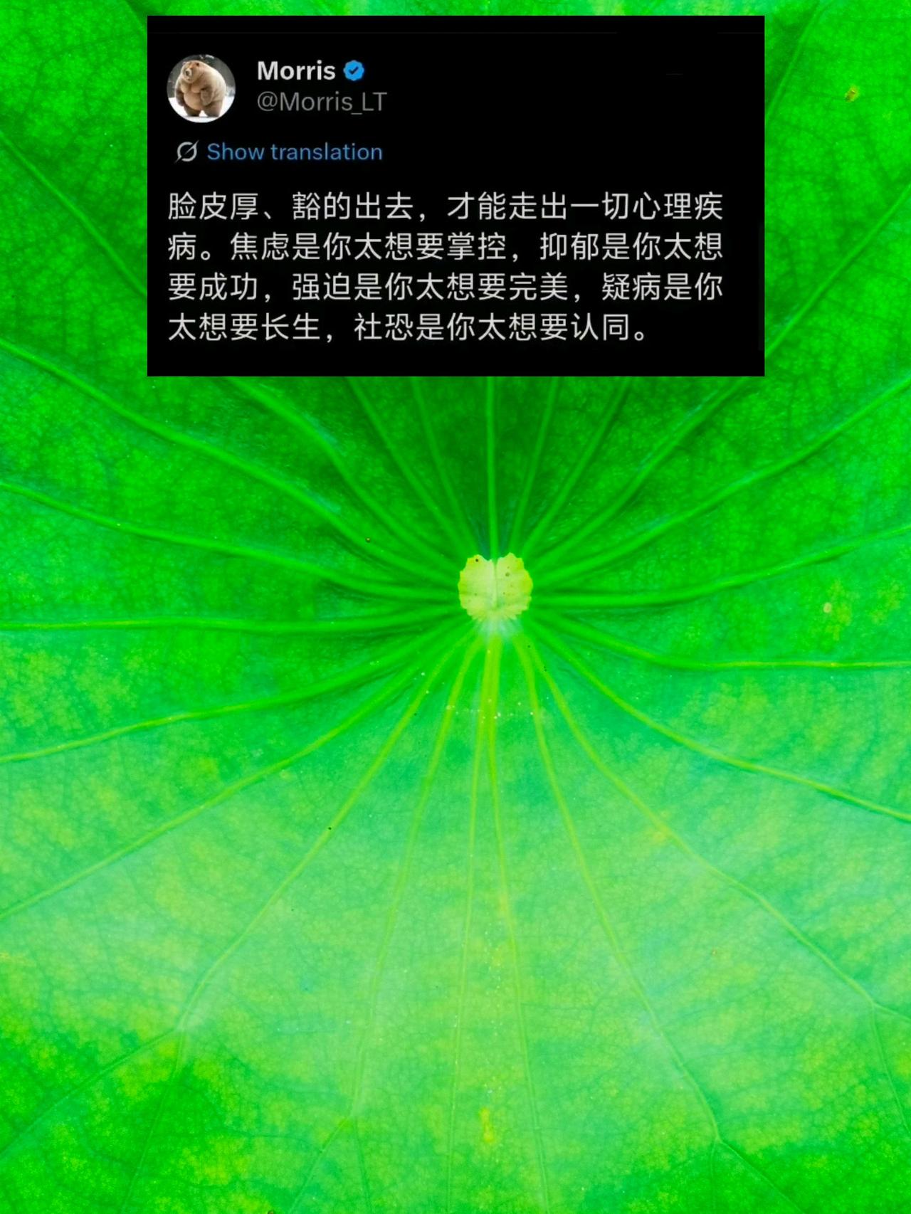 脸皮厚才能走出心理疾病！
不与烂人烂事纠缠！毕竟防弹玻璃心，才能把烂人烂事反弹回