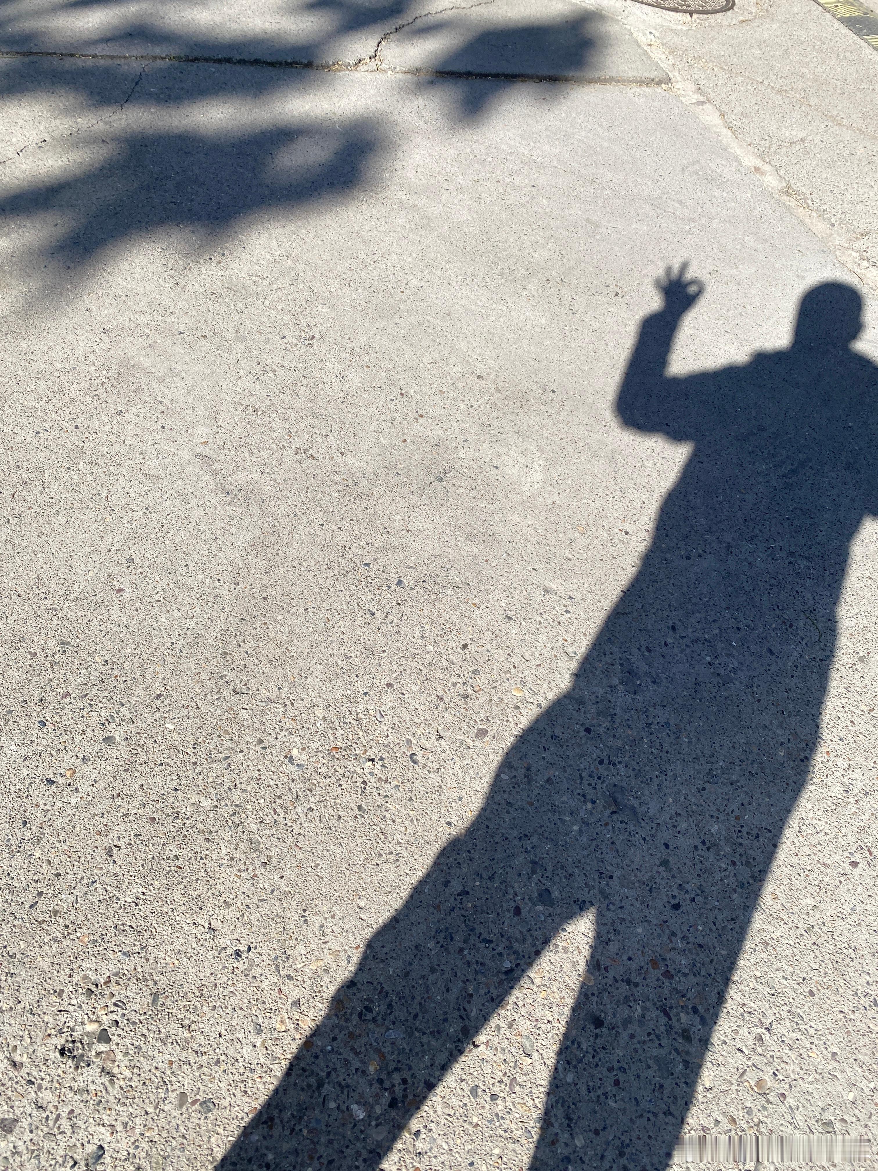 太阳公公今儿终于踏踏实实出来了，有好几天没露面了。别走啊，多呆会儿！本来想着多喝