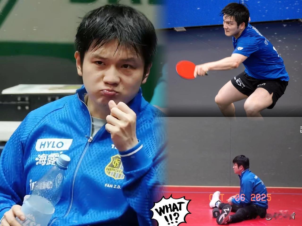 樊振东德甲又输了？
不是他技术不行了，也不是压力太大，

而是欧洲对手太“奇葩”