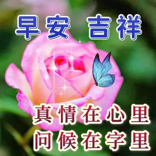 2024年11月9日，
农历十月初九，星期六

努力的人生是最精彩的。
不必害怕