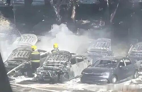 焚烧柳絮 大连七旬老人嫌杨絮阻碍散步，点火焚烧，大风致使火势蔓延，烧毁20辆新能