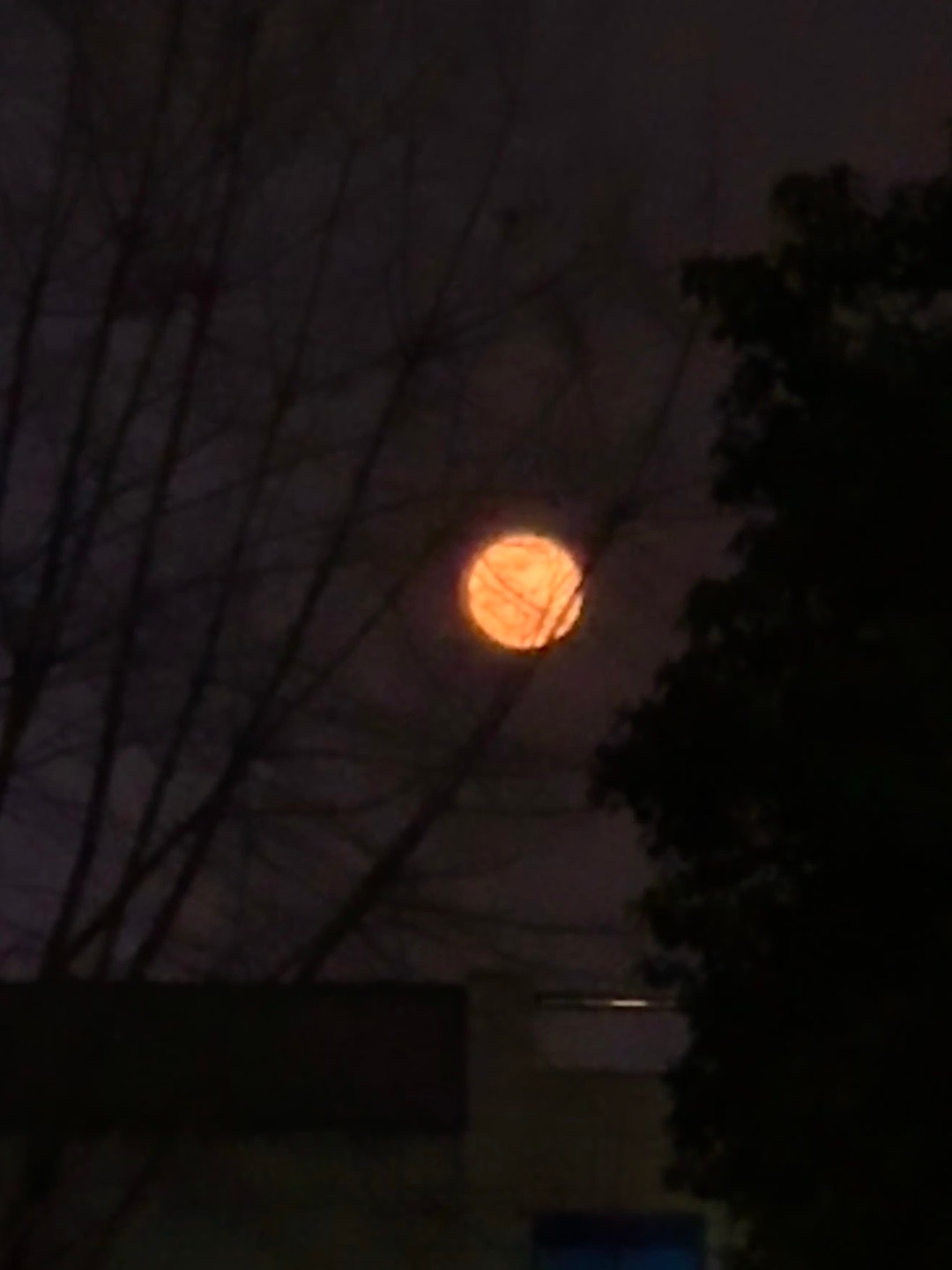 月亮好圆！！ ​​​