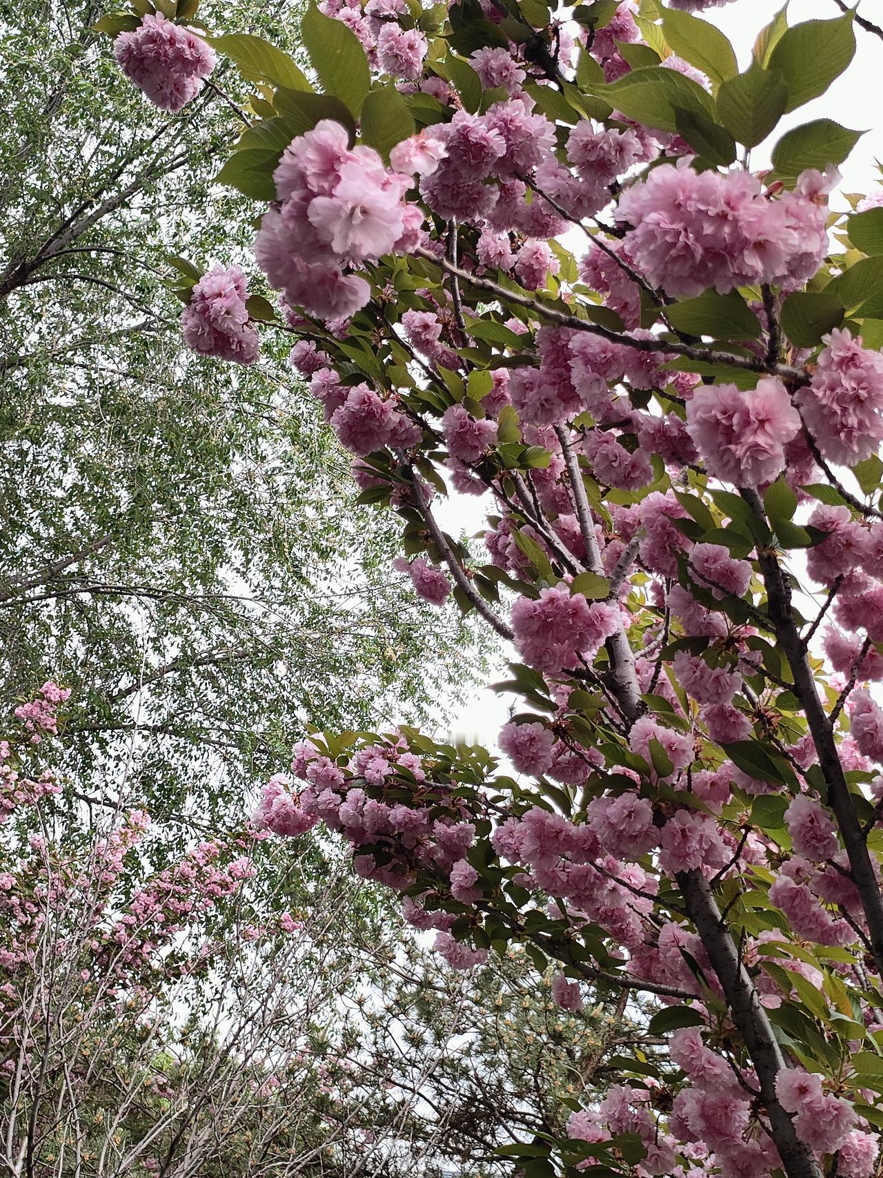 低头赚钱不丢人，没有本事赚钱才丢人
 
不知道从什么时候开始，很多人把“面子”看