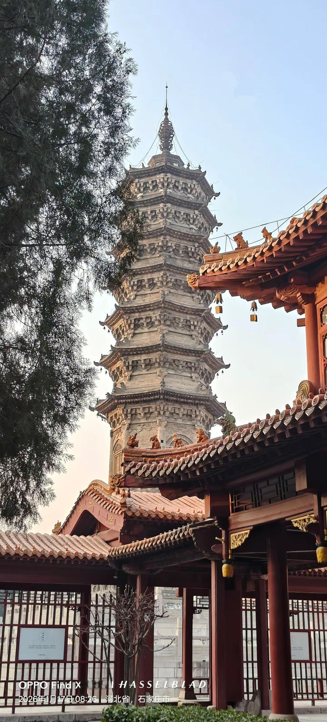 石家庄市赵县柏林禅寺，始建于汉，经历天灾人祸，只剩建于元的柏林禅寺塔，其它建筑都