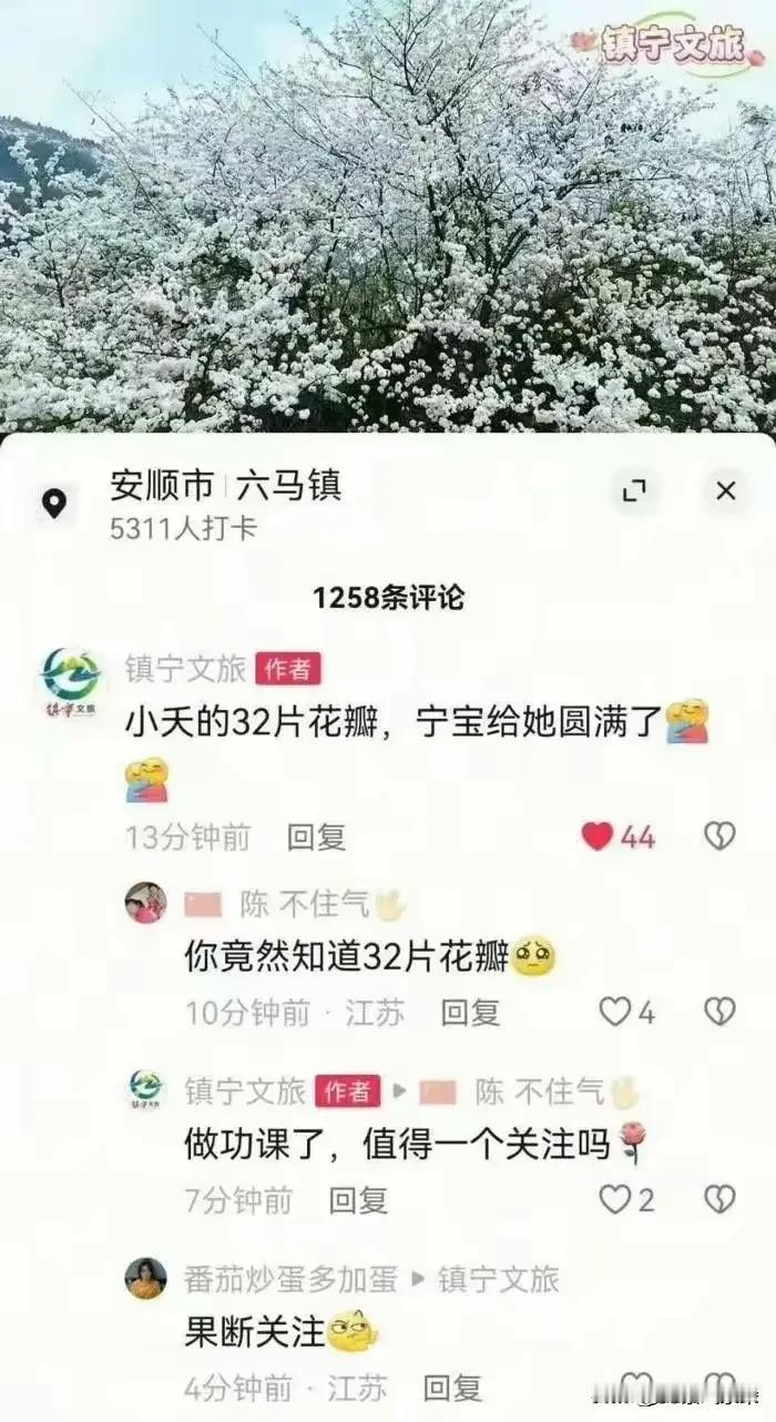 “星莲”真该出来给杨紫小夭道歉，“臻不耀脸”和“桐柳流合污”毁了长相思第二季，“