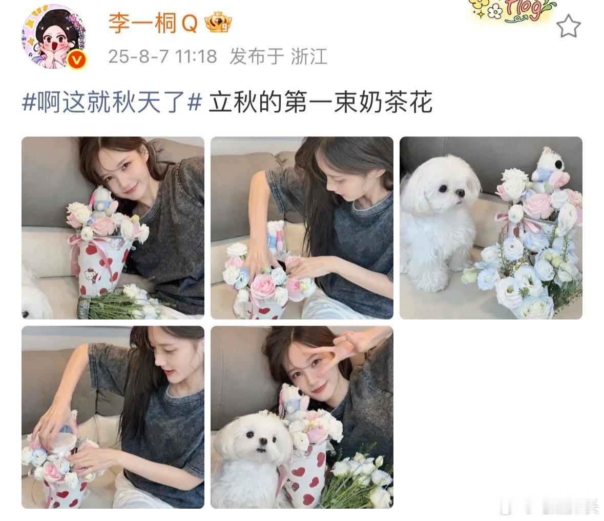 李一桐分享立秋的第一束奶茶花李一桐立秋五宫格 李一桐立秋晒照啦，五宫格中她精心布