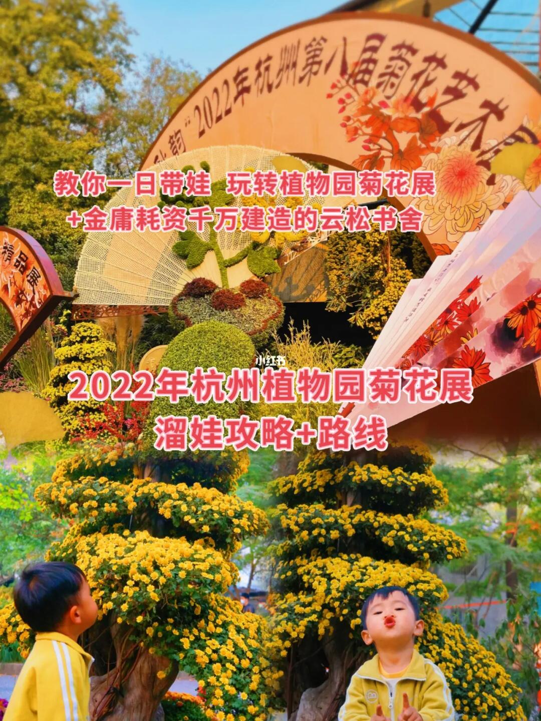 杭州溜娃/杭州植物园的菊花展太哇塞了