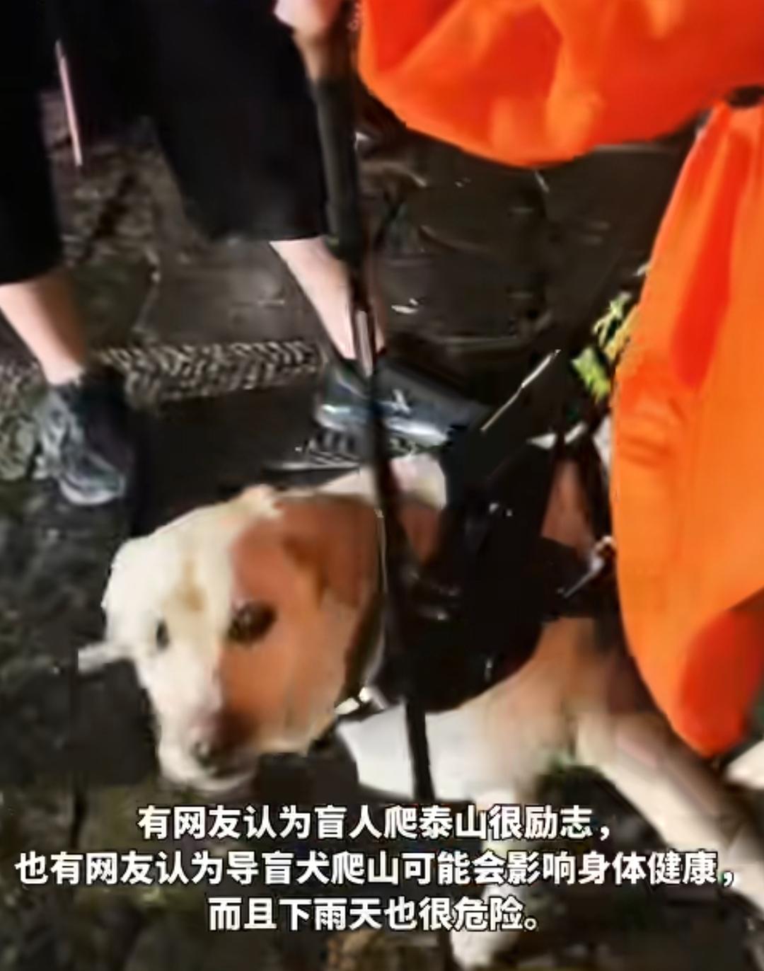 它是你的眼睛，
不是你的工具，眼睛“瞎”也是有原因的。
看到一对盲人夫妻带着导盲