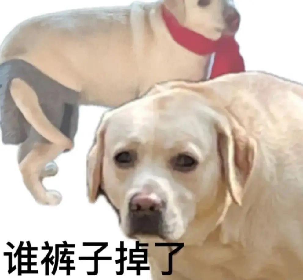 把号称排球城的底裤扒掉了