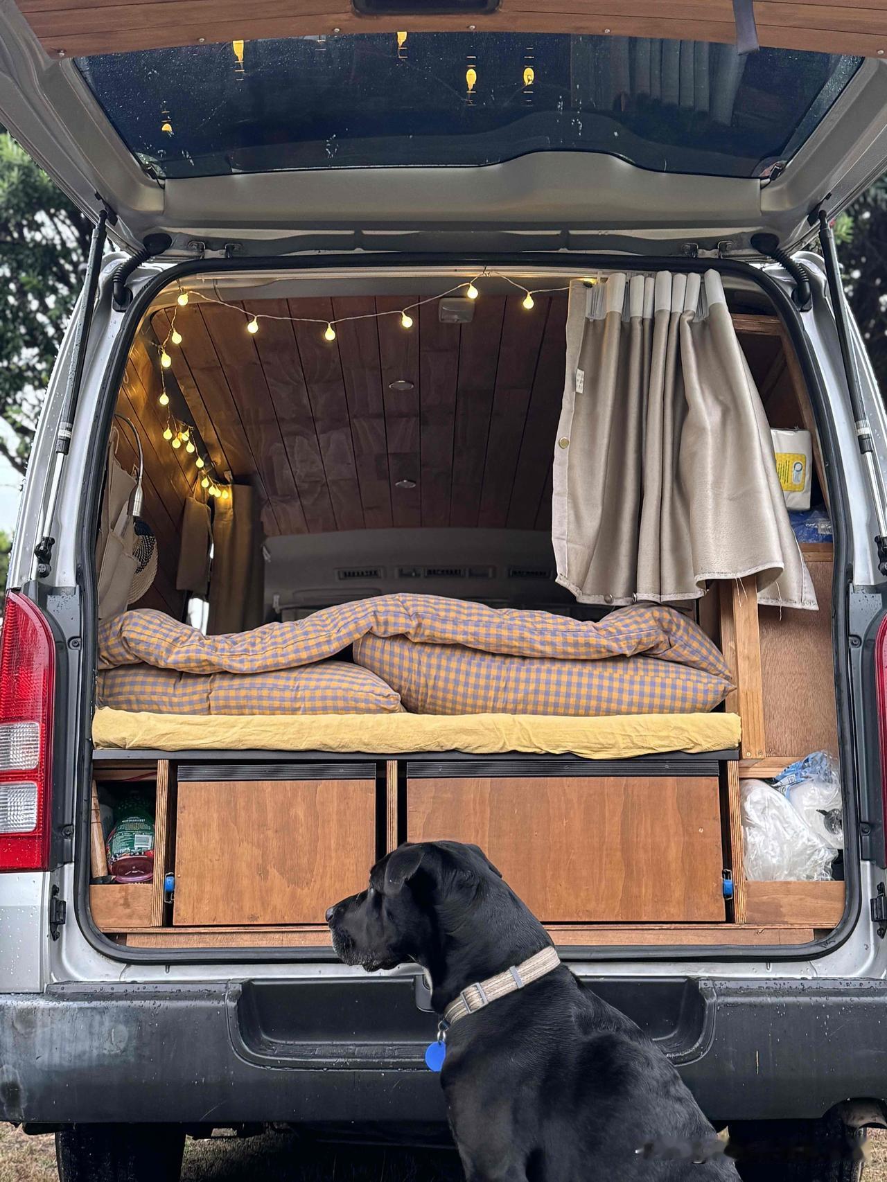 奥克兰｜拎包入住露营车｜直接省半年时间

如果你正在看露营车，
这辆车最大的优势