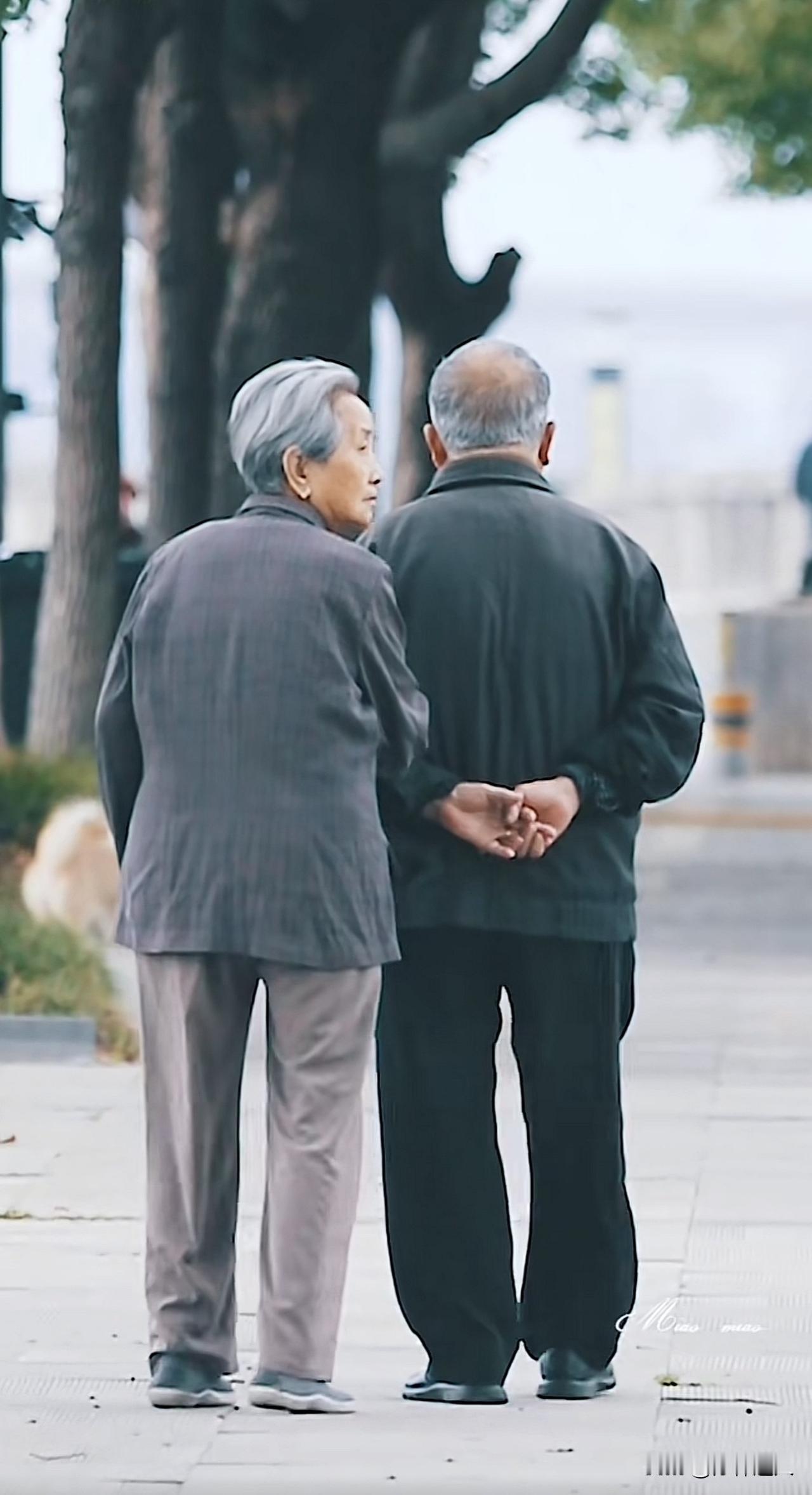 新思维：老龄化兮不可怕，中国老人有文化

在网络上，我经常看到一些关于老龄化的话