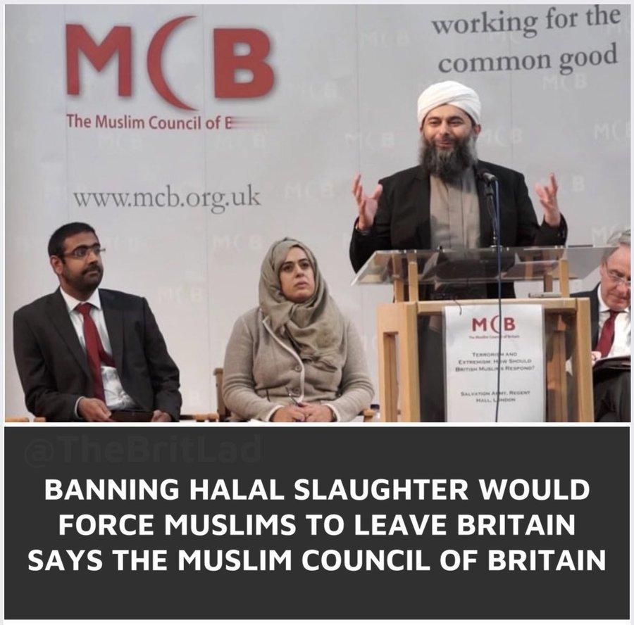 英国穆斯林委员会警告称，英国现行的“清真宰禁令”，可能会促使穆斯林离开英国，前往