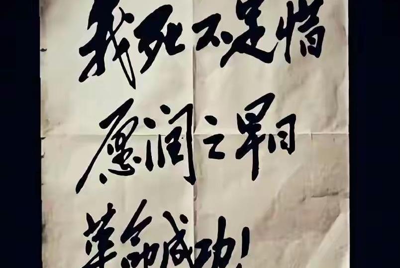 “我几天都合不上眼，我快要疯了。”
“谁把我的信带给他，谁就是我的恩人。”
这些