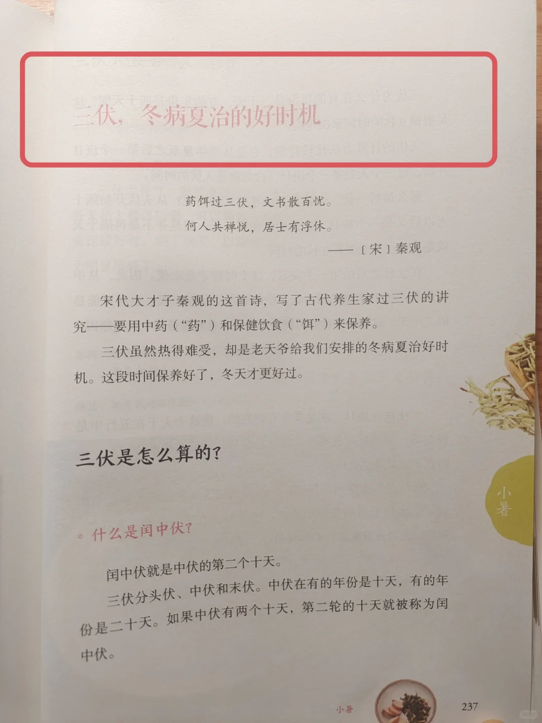 陈允斌老师——过好三伏天的智慧🔥