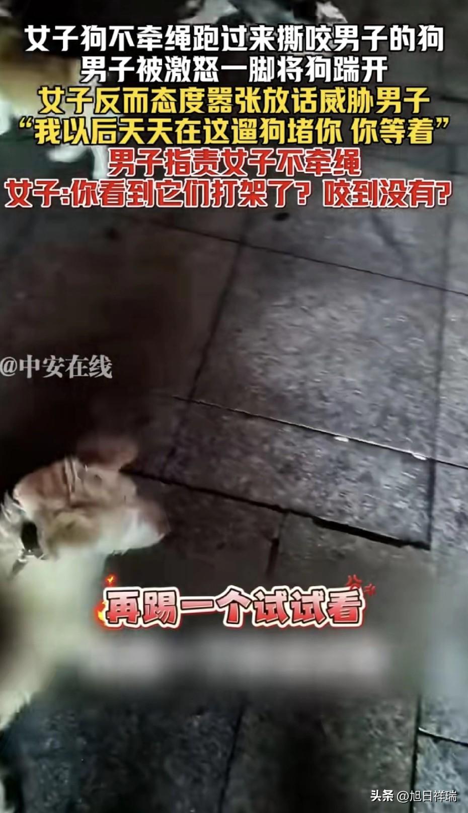 一只没拴绳的狗直接冲上来撕咬自己的狗，男子被逼急了抬脚就踹。结果狗主人不仅不道歉