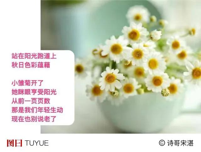立秋过了
草叶上阳光
记得多收藏
．
想起山野里
还有那么多小昆虫
蚂蚱 蝈蝈 