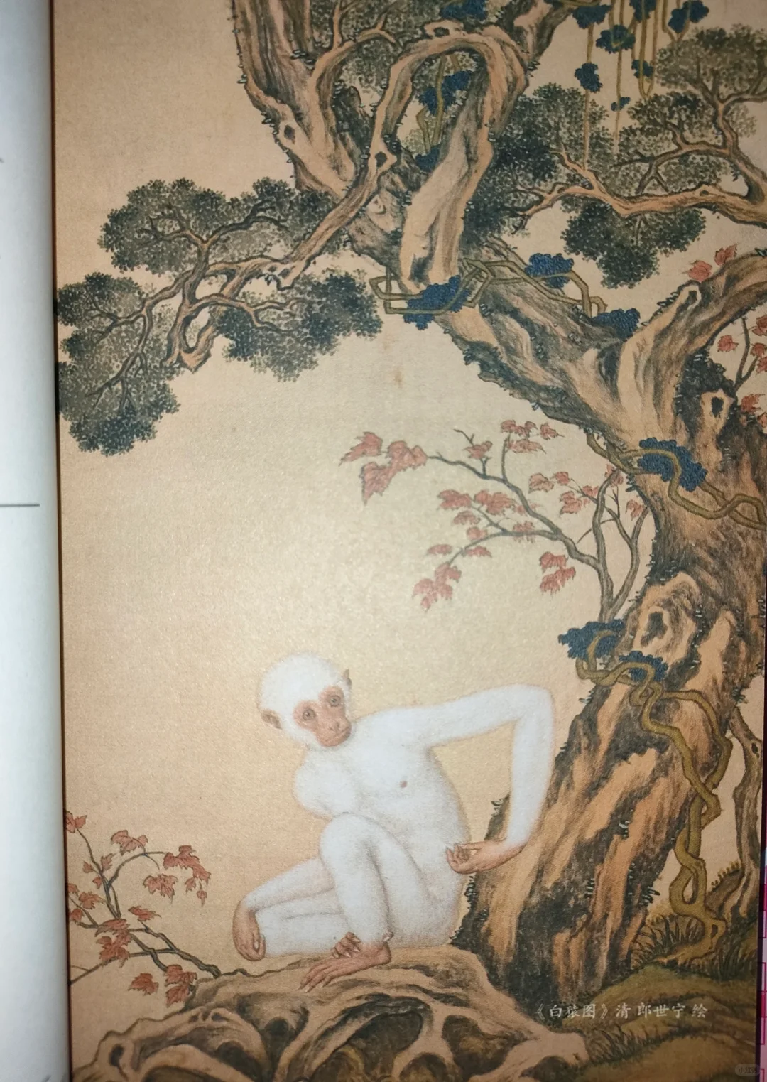 【幽冥志】来一场诡谲绚烂的大唐志怪之旅吧