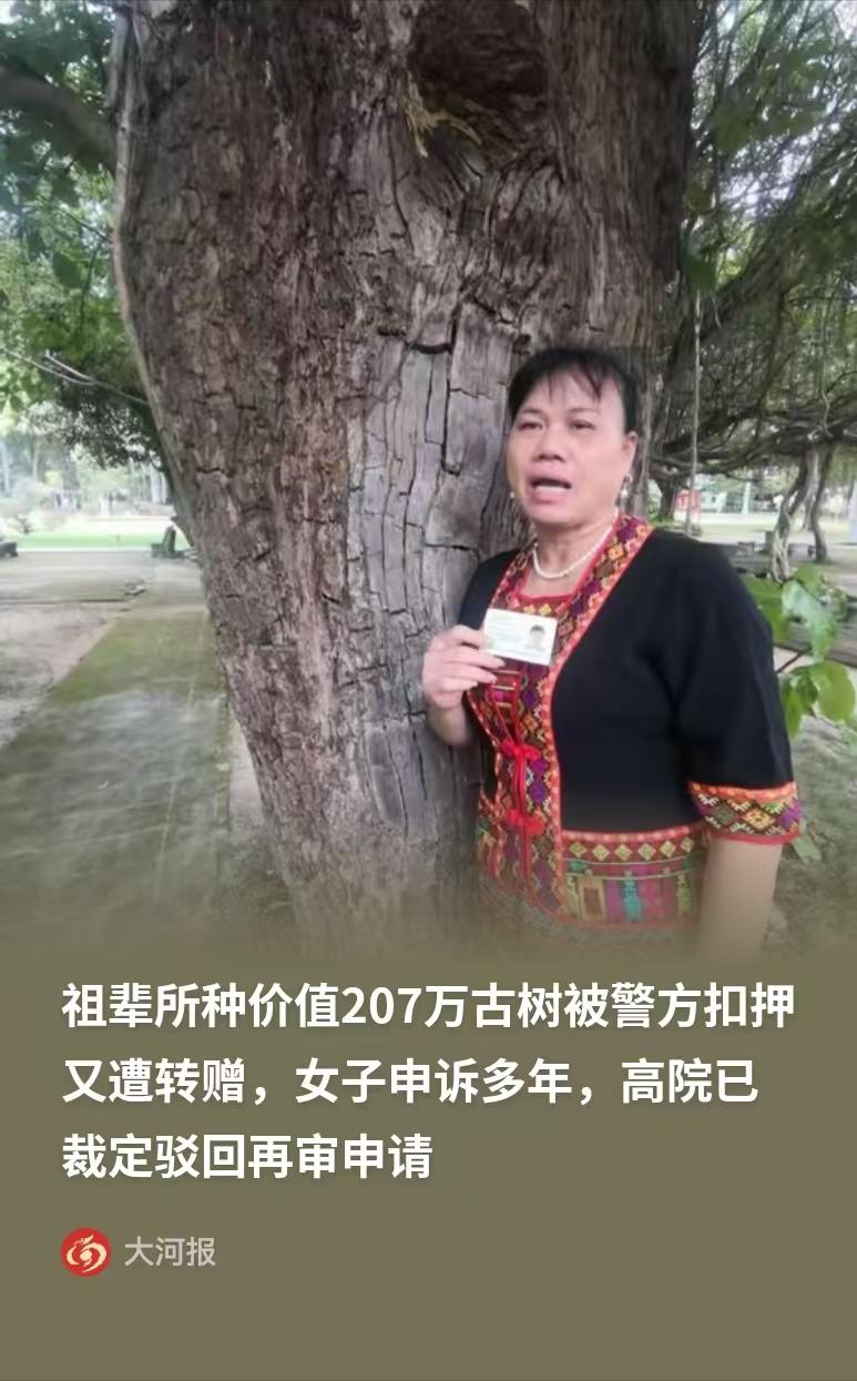 海南一女子家祖传的百年重阳树，被人连根拔起盗走。全家疯了一样报警，好不容易把树找