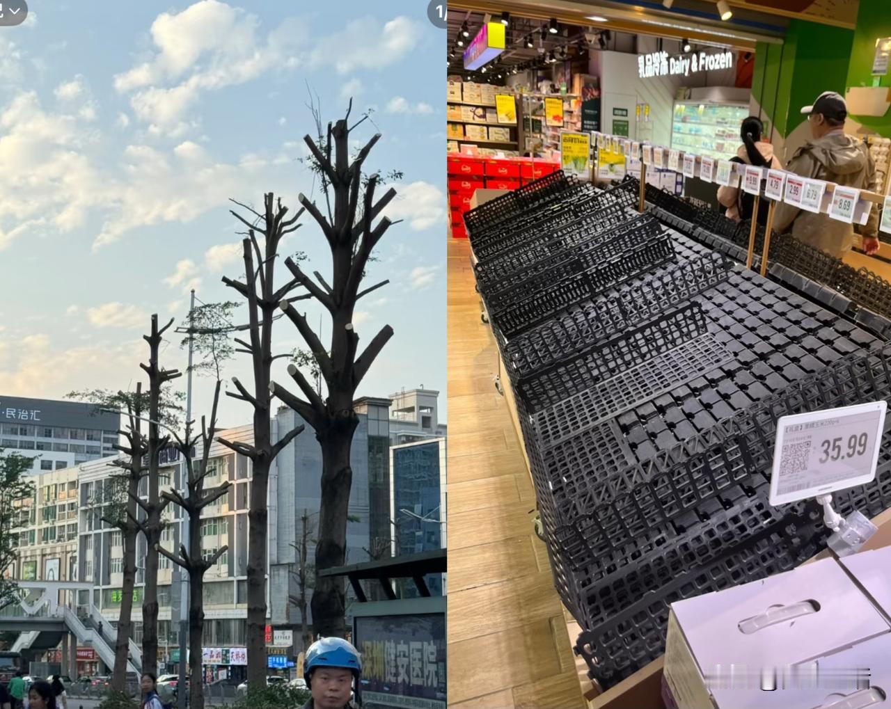 真是闹了个大乌龙啊！


深圳这次太疯了！
深圳这次台风前把路边的树砍得一棵不剩