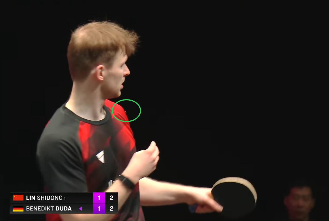 笑死我了，一个小虫子把杜达吓坏了，
小虫子盯着杜达转，
吓得杜达赶快用球拍赶。