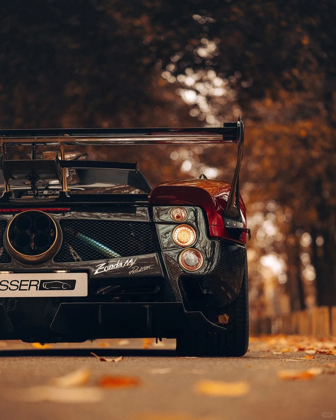 Pagani Zonda MY Roadster🍂
