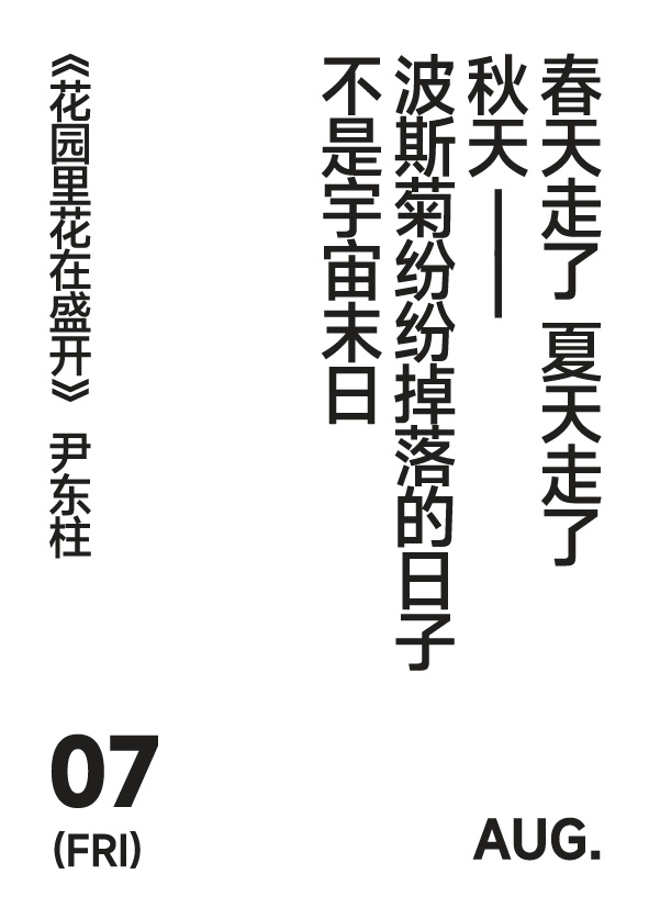 2026年8月7日 写诗小日历 春天走了 夏天走了秋天——波斯菊纷纷掉落的日子不