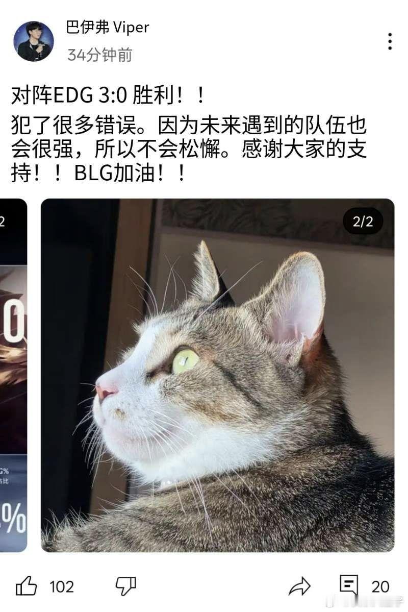 viper说未来不会松懈 Viper昨晚回去后又接着打了三把rank…一输比赛就