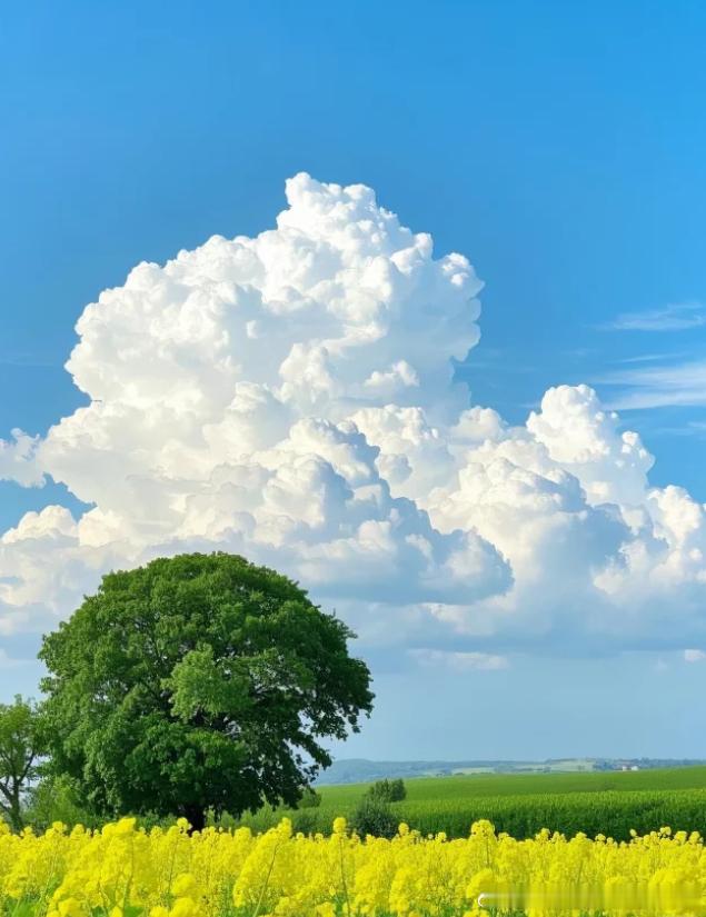 每日一善[超话] 人非圣贤，孰能无过。在这世上的每个人都不是十全十美的，难免会有