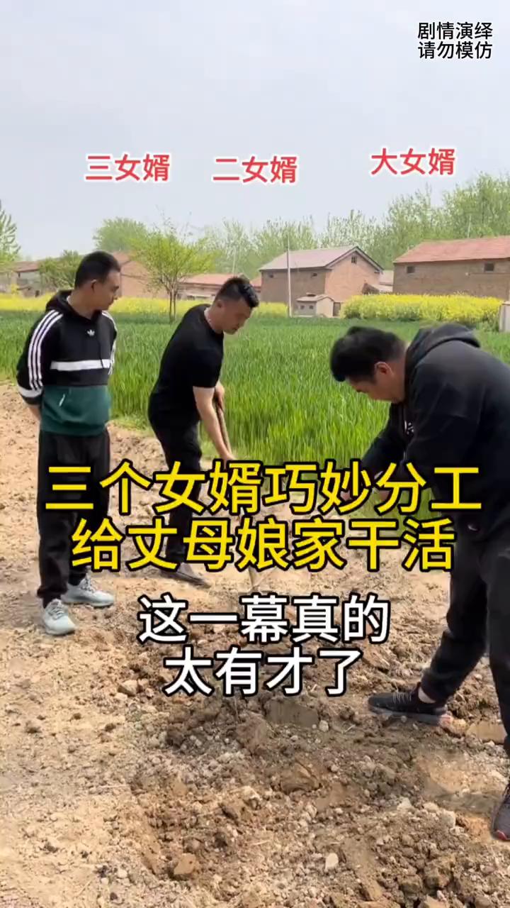 三个女婿巧妙分工给丈母娘家干活。
三个女婿来到丈母娘干活，只见二女婿拿着铁锨铲土