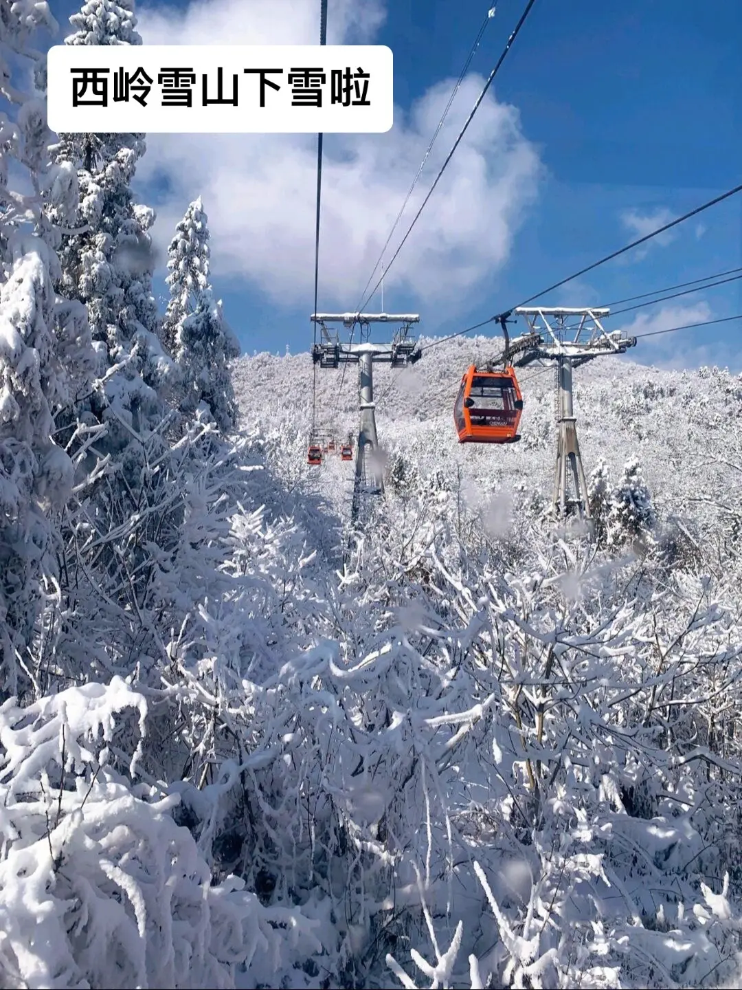 西岭雪山下雪啦，周末约起来吧（广告）