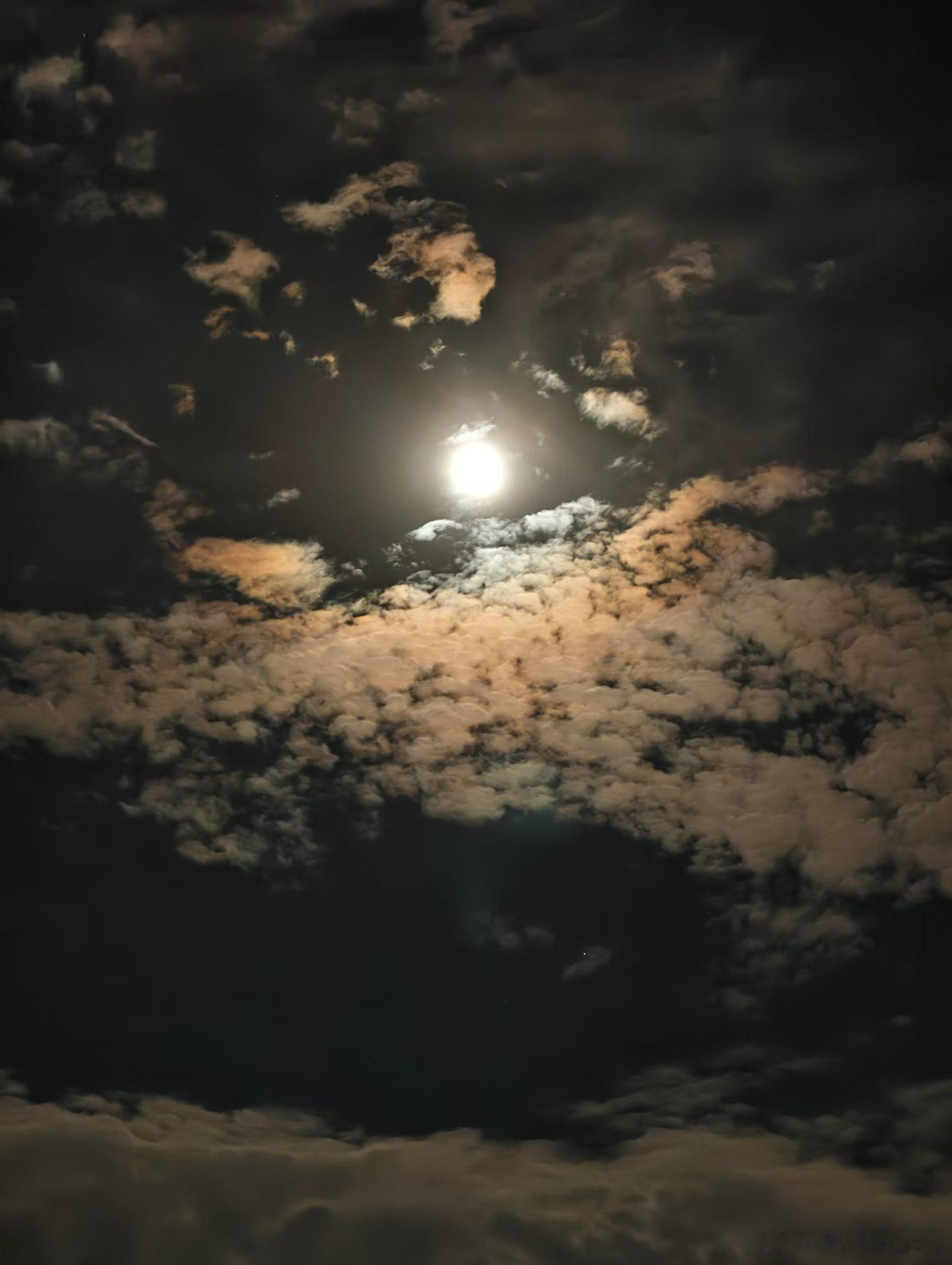 生活手记 抬头看到月亮，城市的夜晚，一半是人间灯火，一半是月亮与云的悄悄话。 