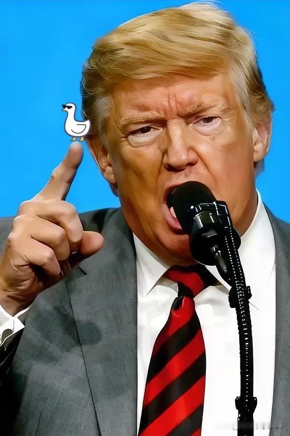 刚刚，
美国总统特朗普对乌克兰下达了最后通牒，
要求乌方必须在11月27日前接受