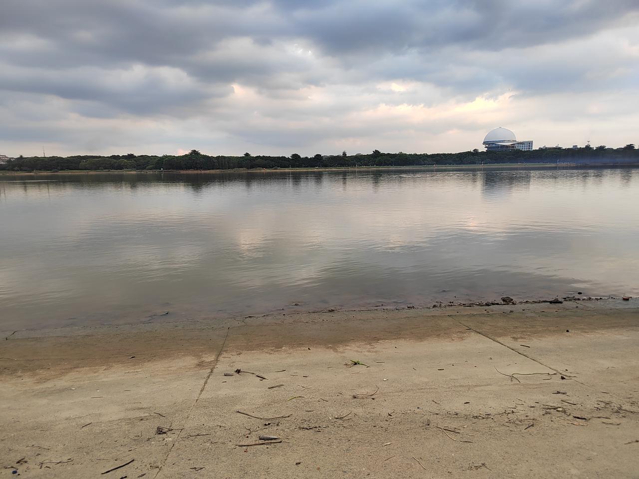 特朗普一句话，A股抖三抖！谁在收割中国散户？深度拆解美国霸权下的资本镰刀
 
最