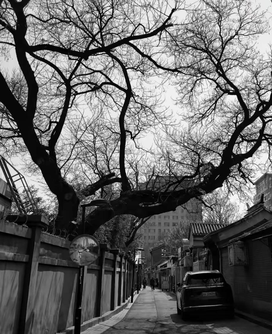 北京城的胡同有着多少.