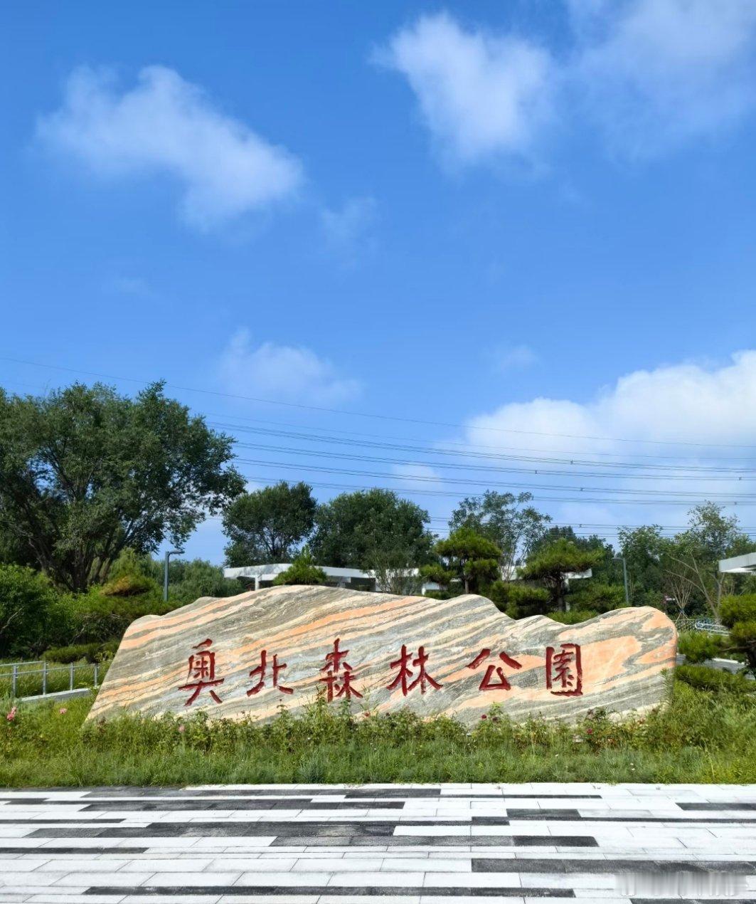 五一来奥北躺进春天里北京|隐秘的巨美公园被我发现啦，不卖关子,地点就在奥北森林公