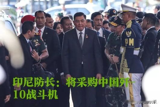 印尼防长：将采购中国歼-10战斗机

     据外媒印尼安塔拉通讯社、《雅加达