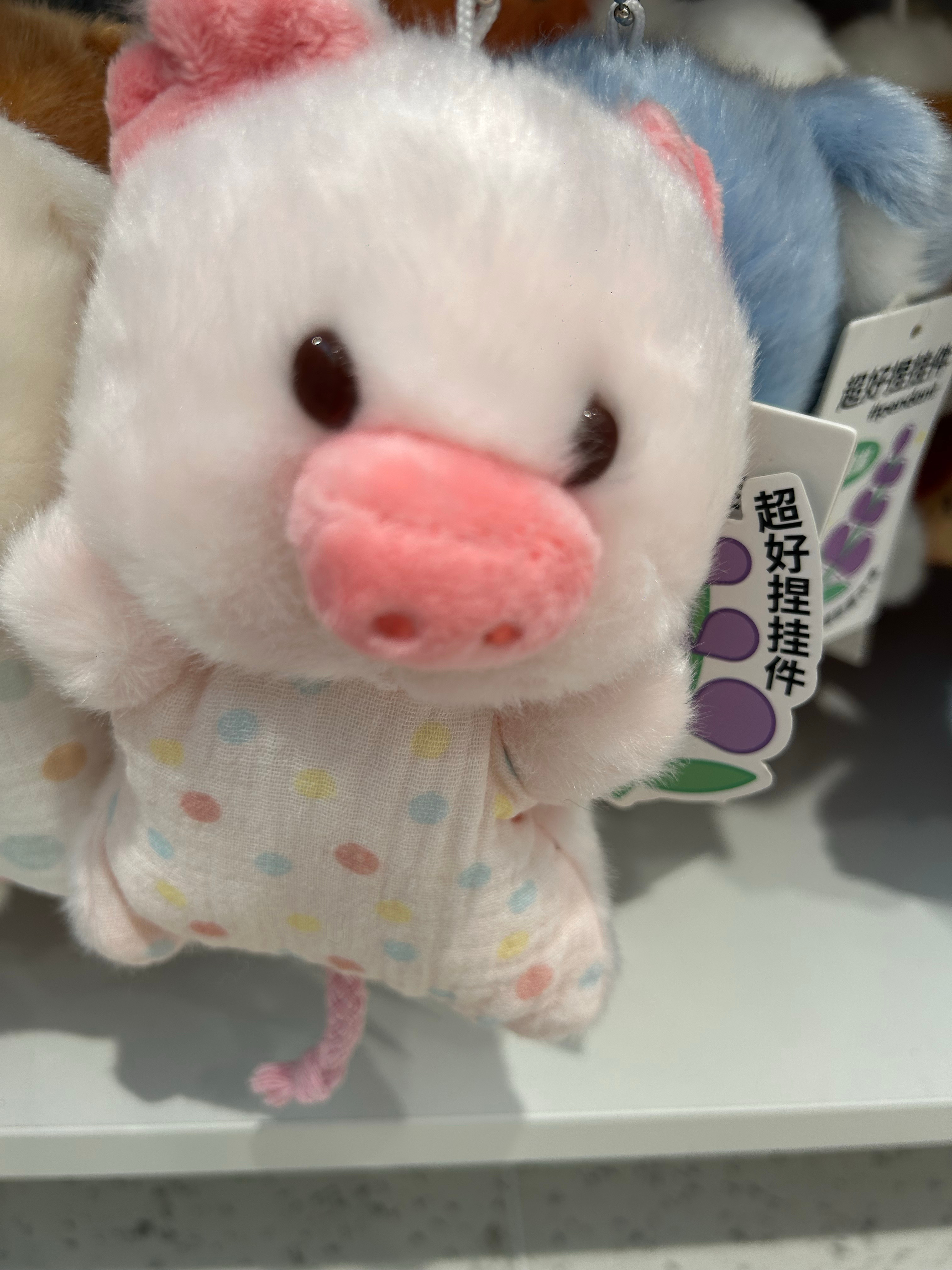 最后一个宝贝猪🐷 