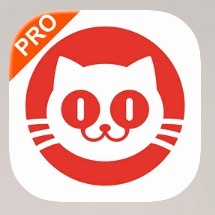 完全疯猫 