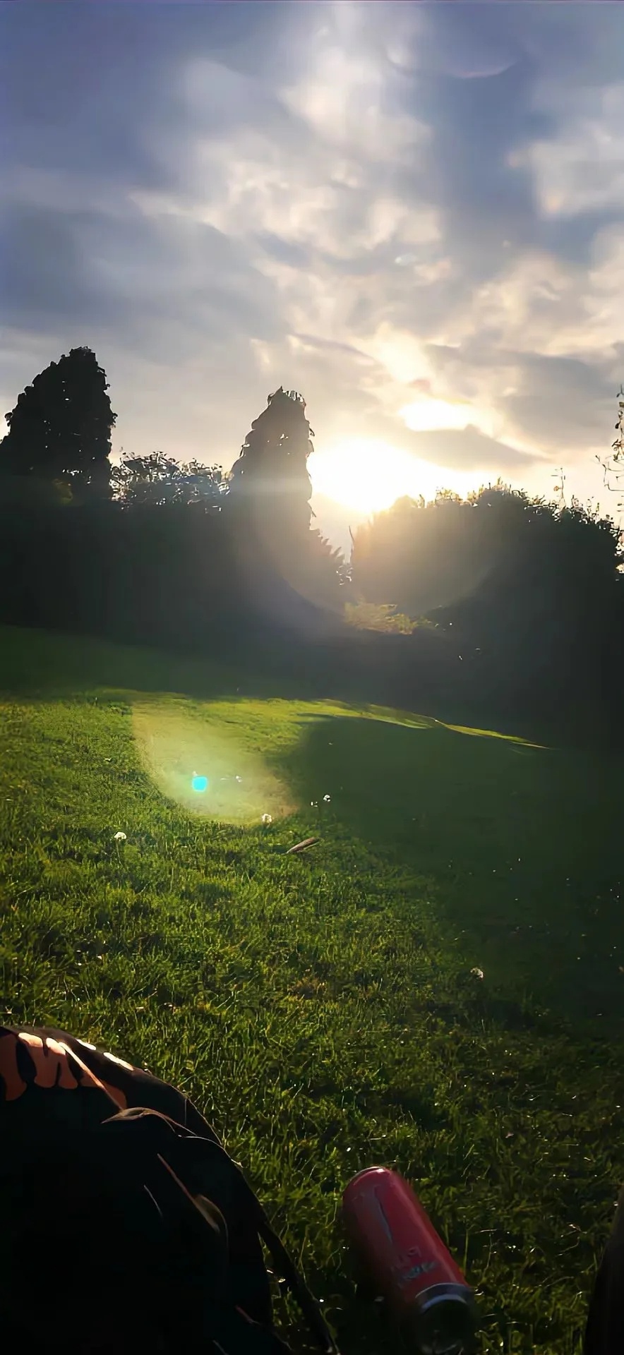 不慌不忙，慢慢发光 