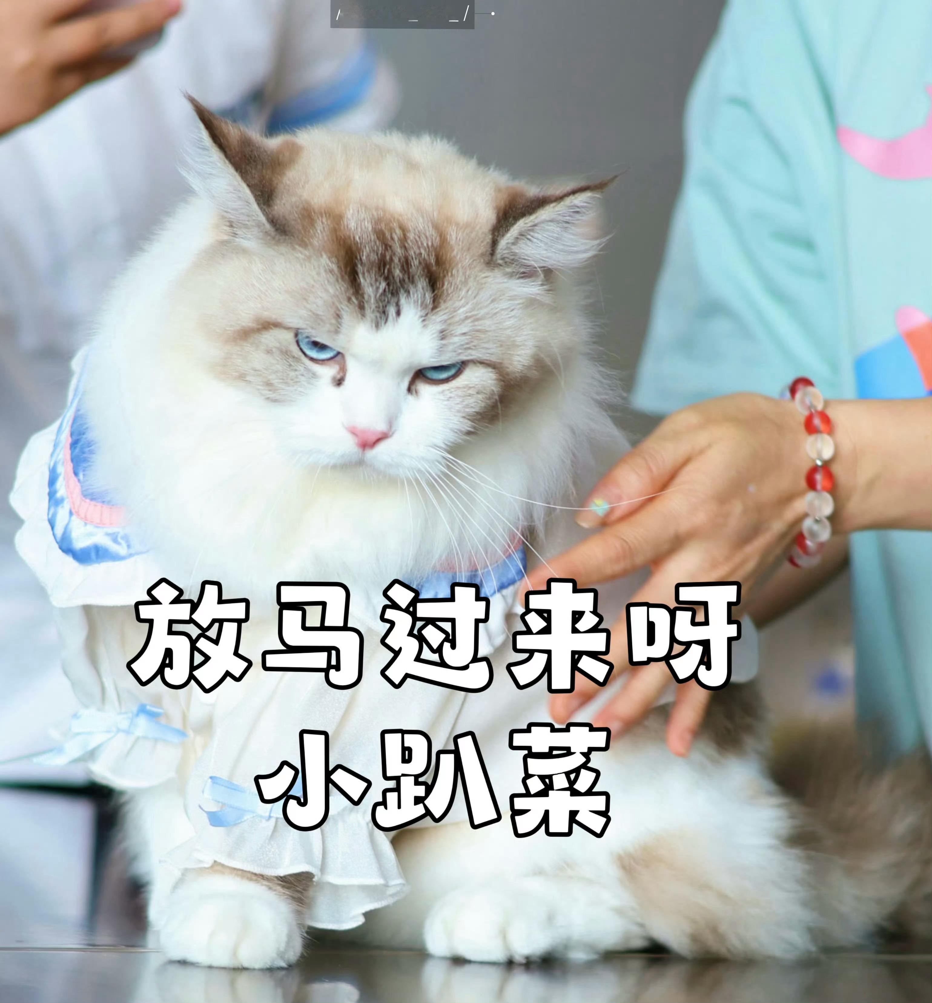 分享图片 ​​​