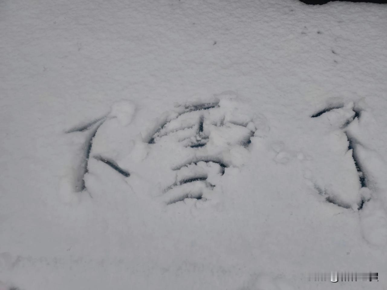 降雪，随即迎来降温，据说是冻的发紫。也该到上冻的时候了，四季分明，该冷的时候就得